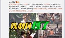 九红爆料视频大全最新网站,揭秘娱乐圈最新动态，独家内容大放送！